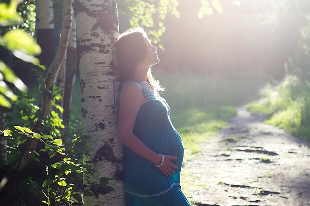 7. SSW - Das passiert in der 7. Schwangerschaftswoche